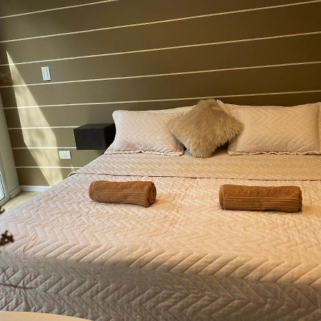 Chardonnay Apartment Mendoza Ngoại thất bức ảnh